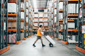 Software BarTender Etiquetas 