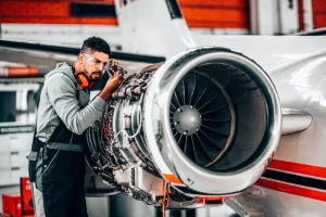 Software BarTender Etiquetas 