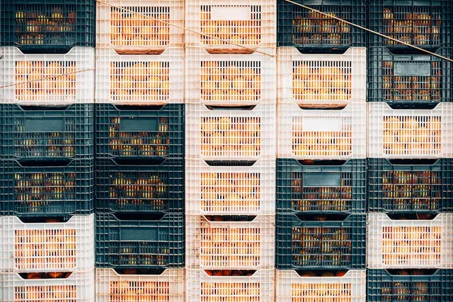 Software Etiquetagem Alimentos e Bebidas